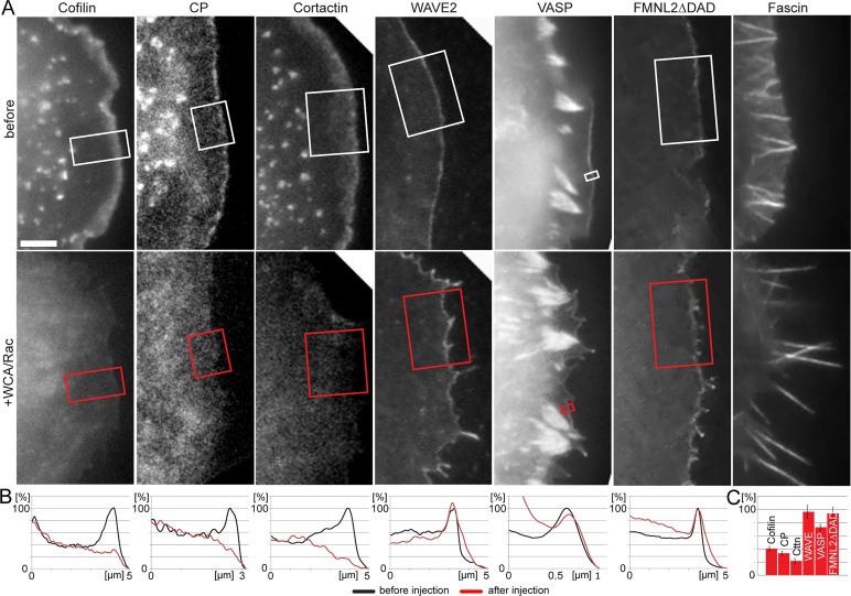 FIGURE 6: