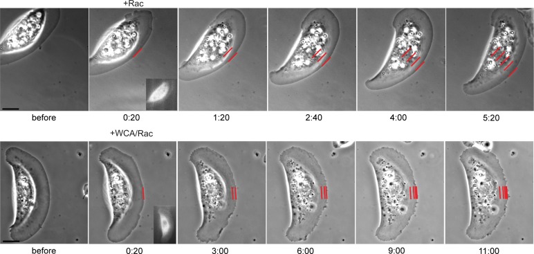 FIGURE 9: