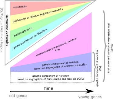 Figure 6