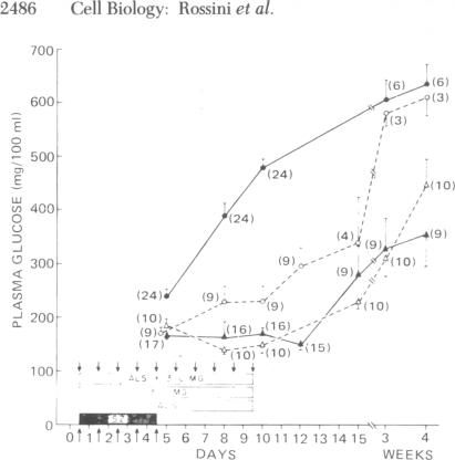 graphic file with name pnas00028-0304-a.jpg