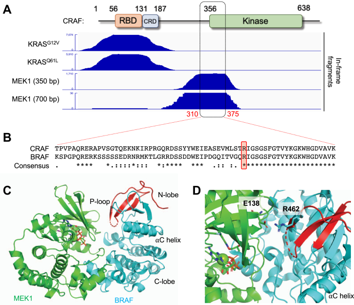 Figure 3