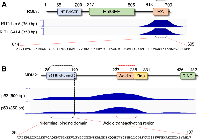 Figure 4