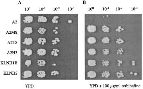 FIG. 6.