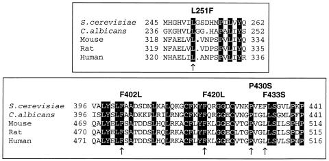 FIG. 8.