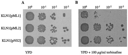 FIG. 7.