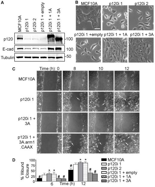 Fig. 8.