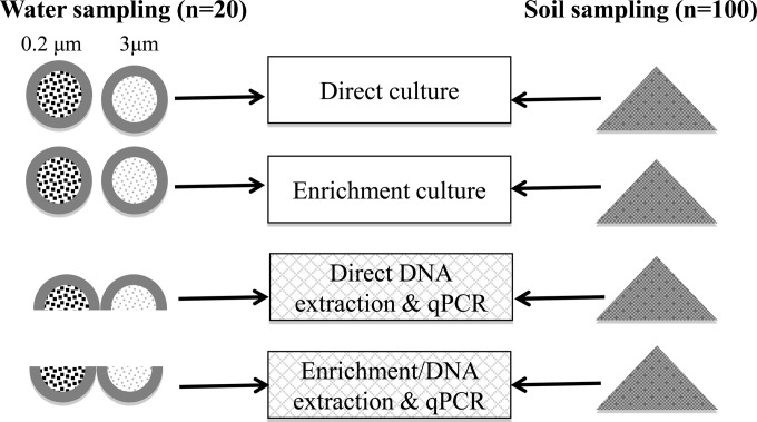 FIG 1