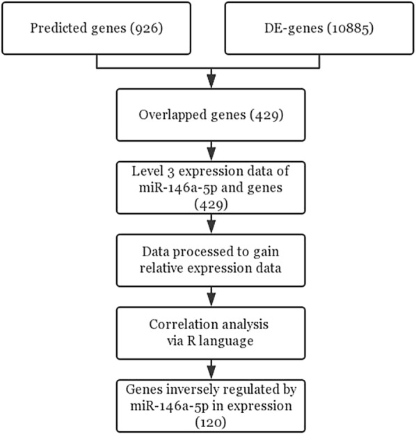 Fig. 7