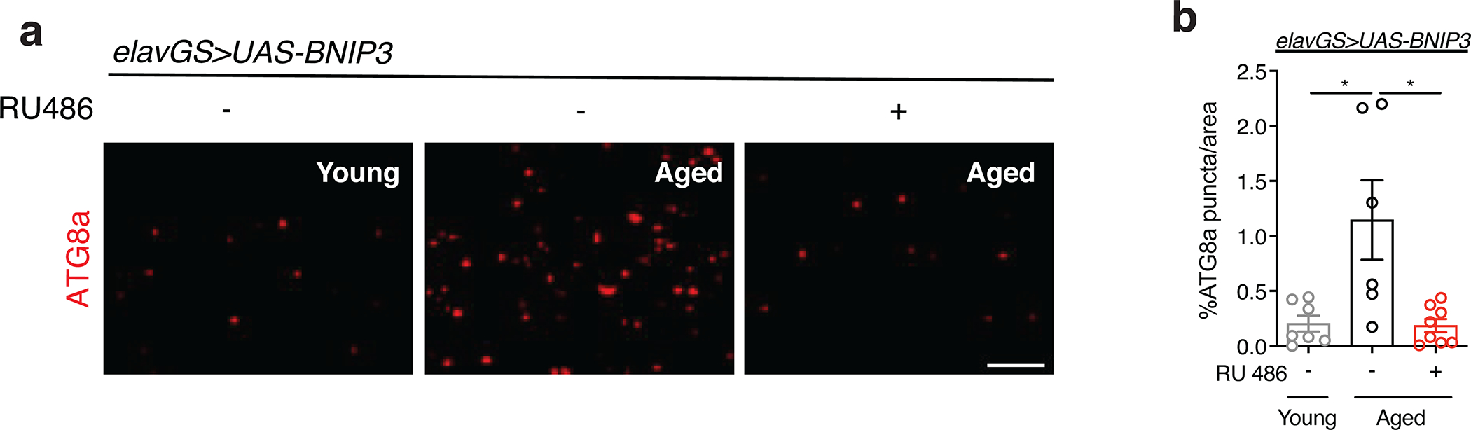 Extended Data Figure 4.