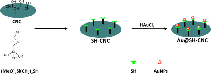 Scheme 1