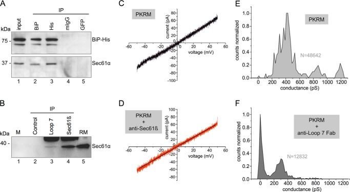 FIGURE 9.