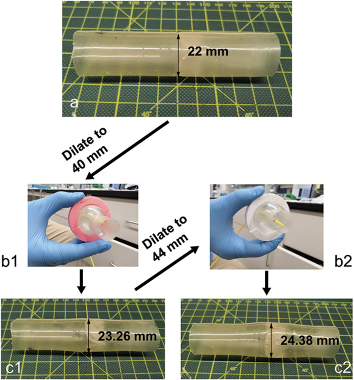 Figure 4.