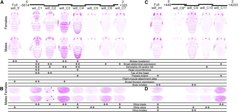 Figure 5