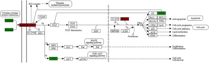 Fig. 3.