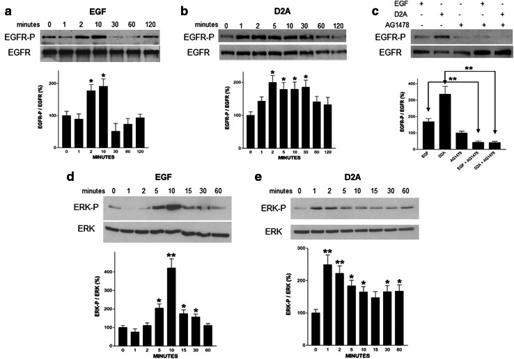 Fig. 6