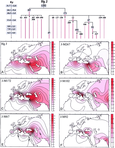 Figure  2