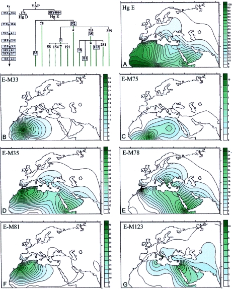 Figure  1