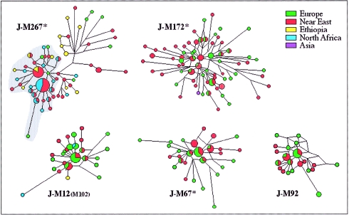 Figure  4