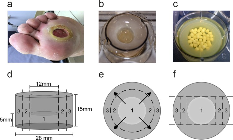 FIG 1