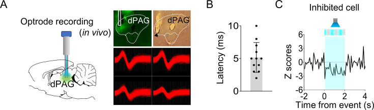 Figure 2—figure supplement 1.