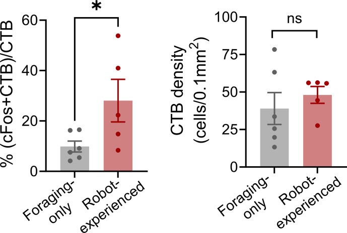 Figure 4—figure supplement 1.