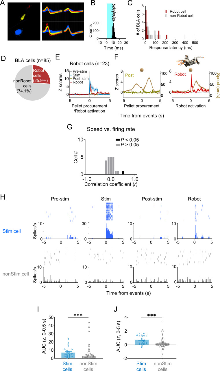 Figure 3—figure supplement 1.