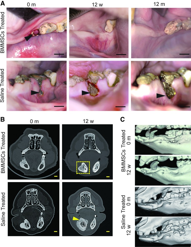 FIG. 4.