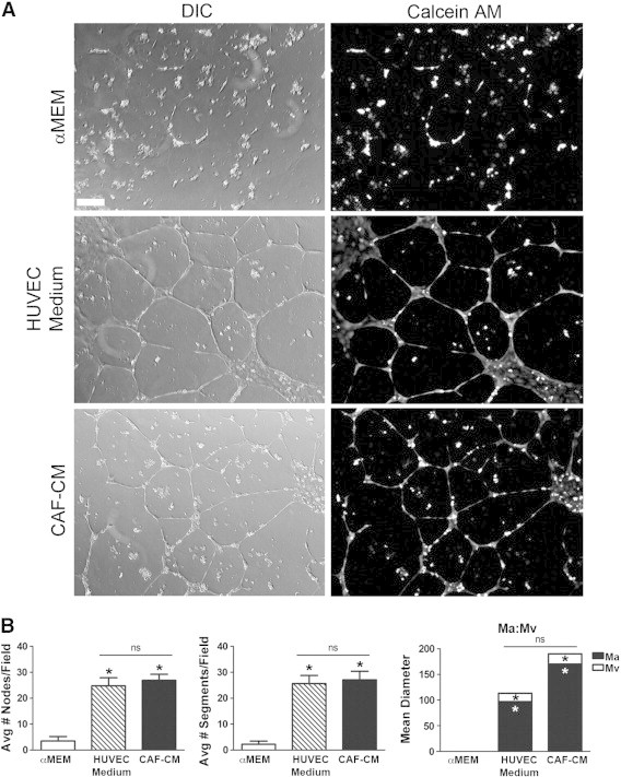 Figure 6