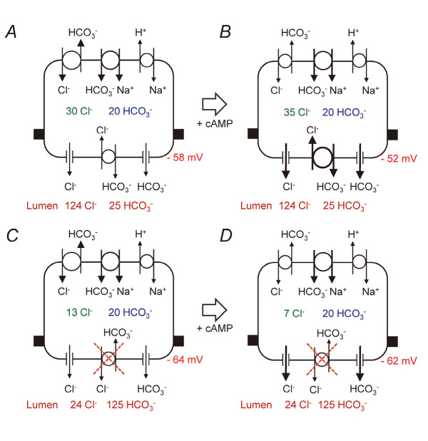 Fig. 4