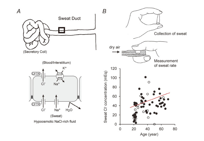 Fig. 10