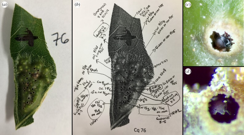 Figure 2.