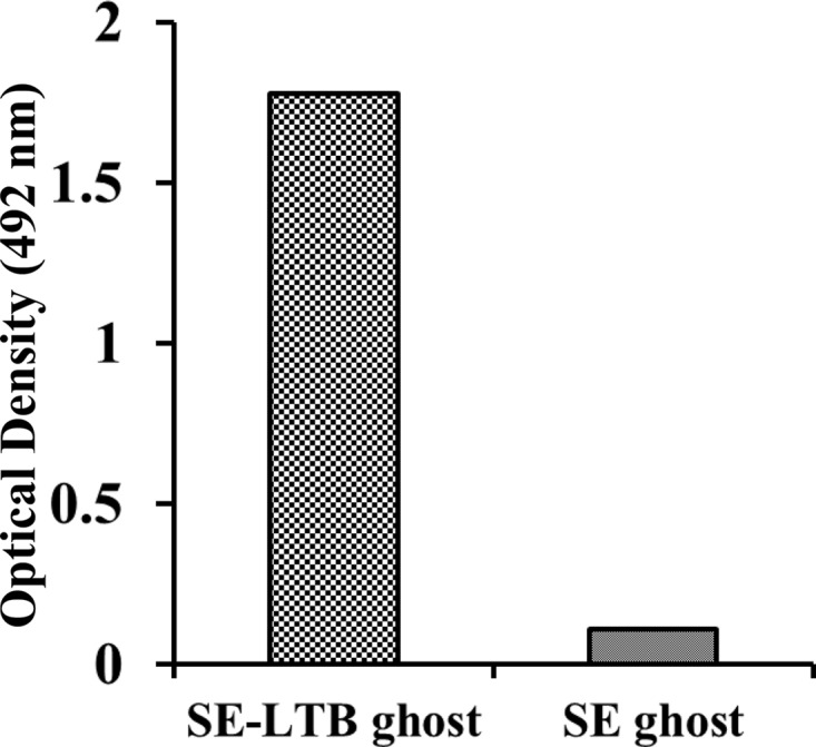 FIG 4