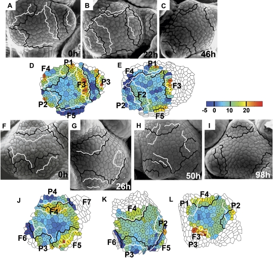 Fig. 3.