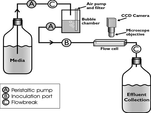 FIG. 1.