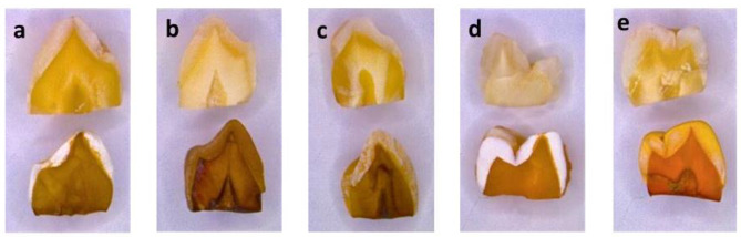 Fig. 8