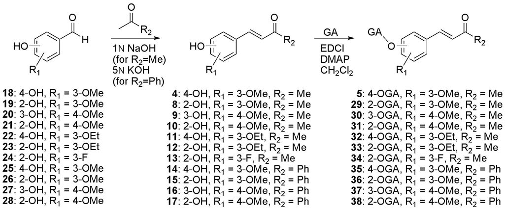 Scheme 1