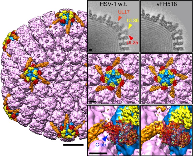 FIG 4