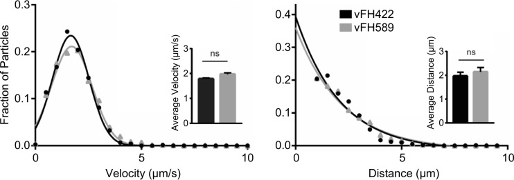 FIG 6