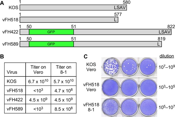 FIG 1