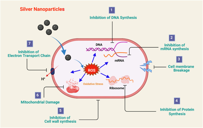 FIGURE 6