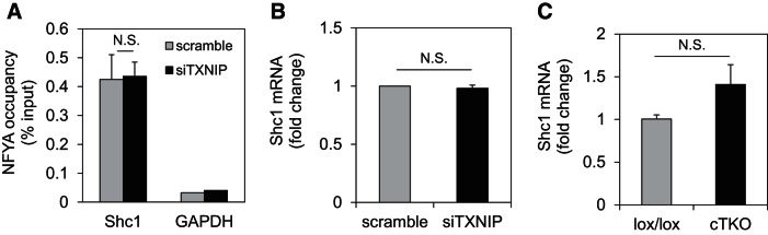 Fig. 12.