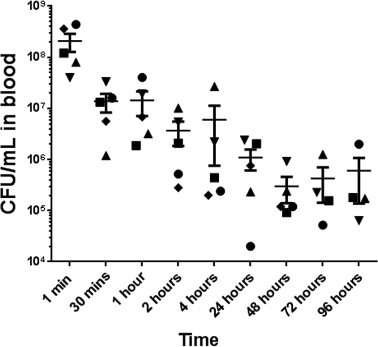 FIG 3