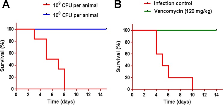 FIG 2