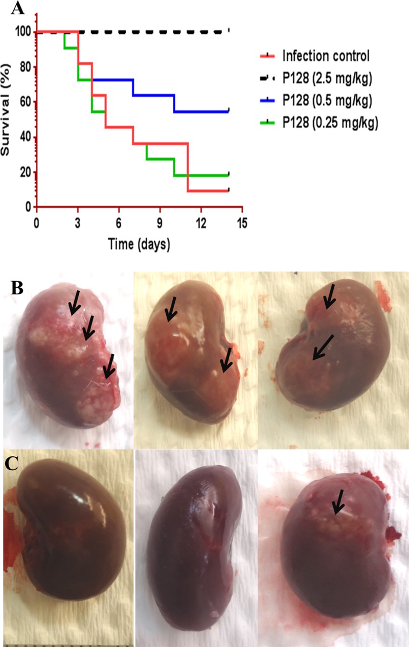 FIG 5