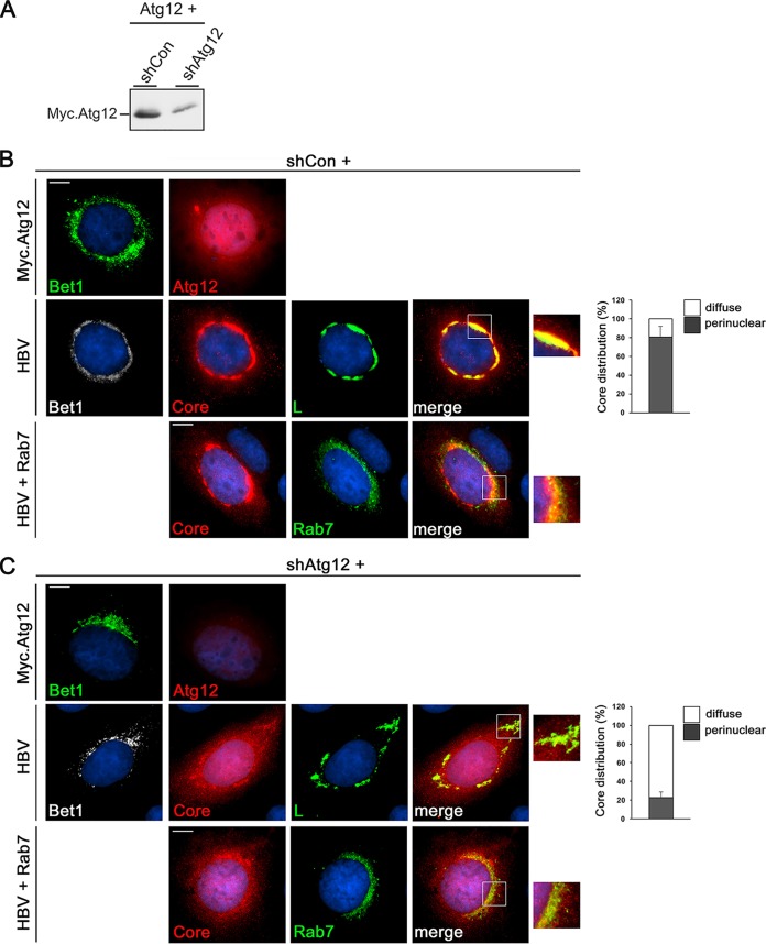 FIG 3