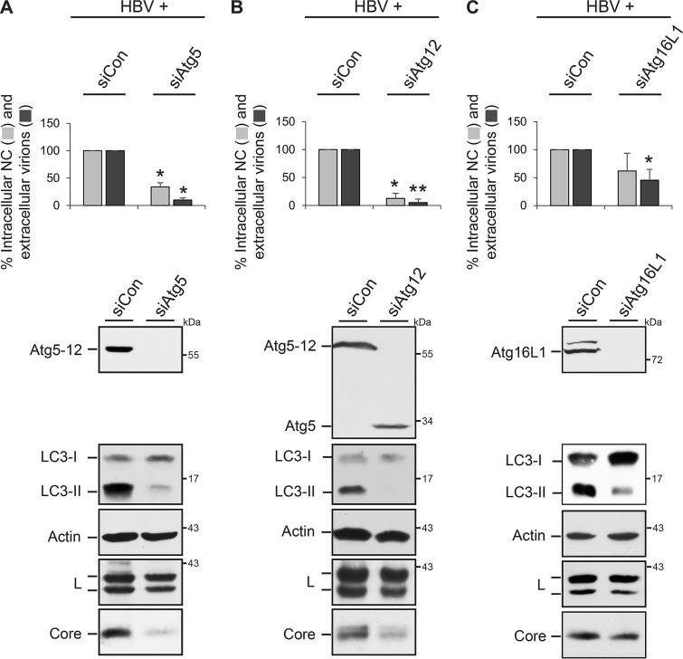 FIG 1