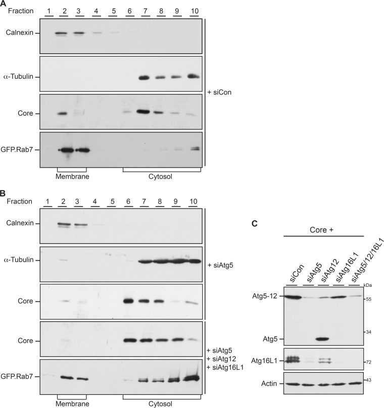 FIG 4