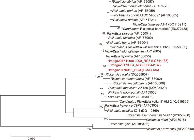 Fig. 6