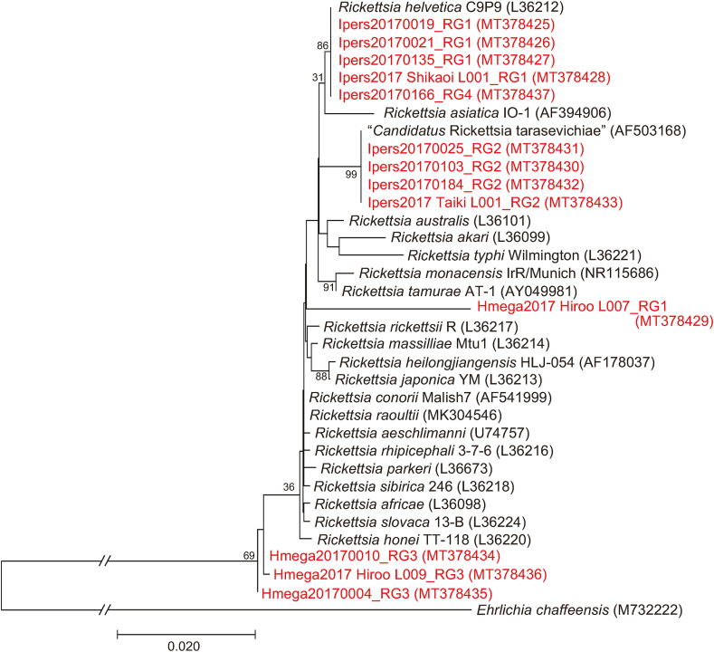 Fig. 4