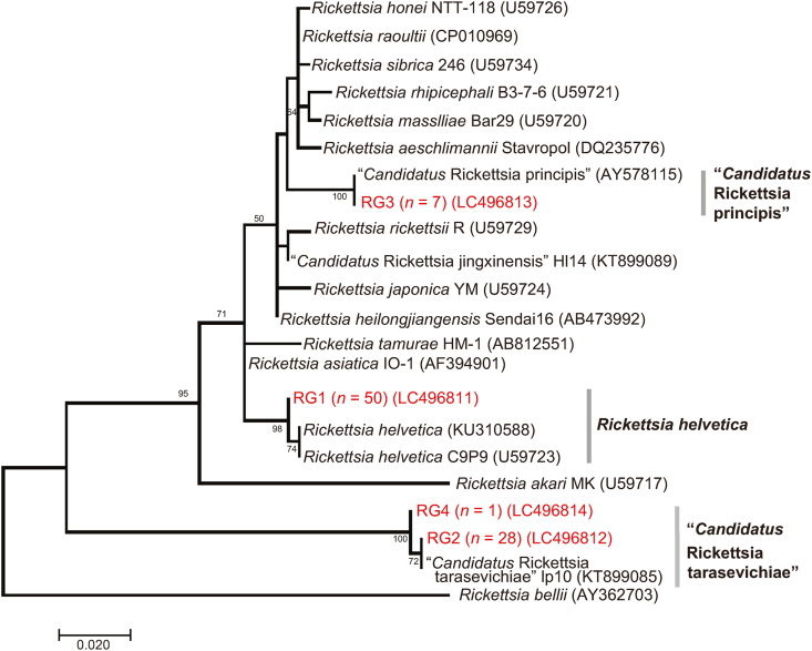 Fig. 3